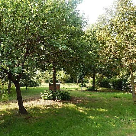 Apartamento La Civetta Torrita di Siena Exterior foto